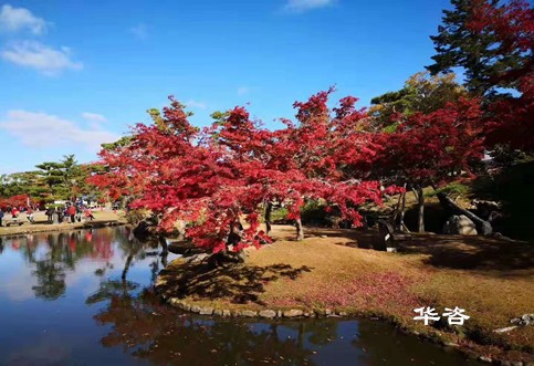 華咨水資源論證科技：創新論證方式，提升水資源利用效率